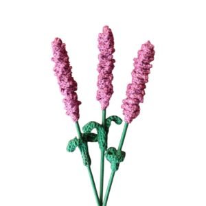Flor de la Lavanda